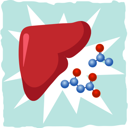 process of ketosis