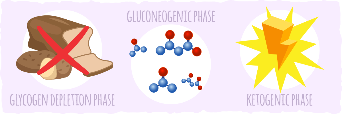 how ketones work