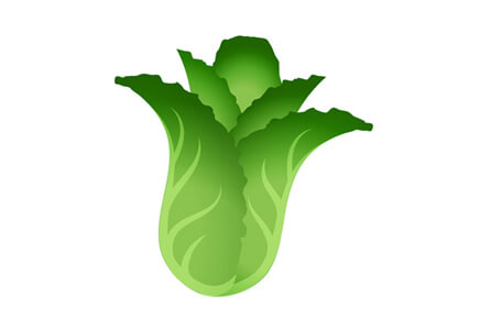 leafy greens on ketogenic diet