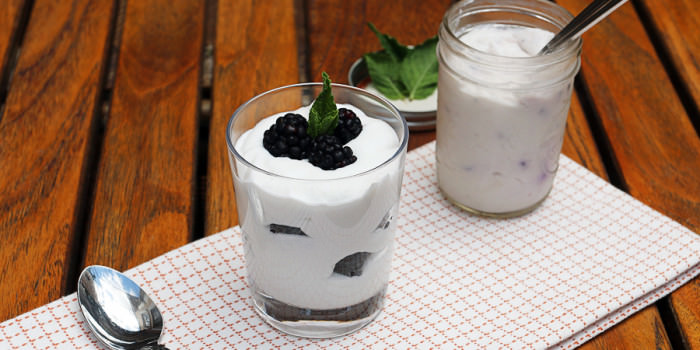 Coconut Cream Yogurt