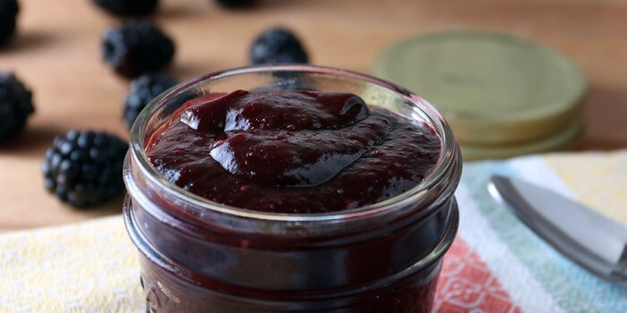 Low Carb Blackberry Chipotle Jam