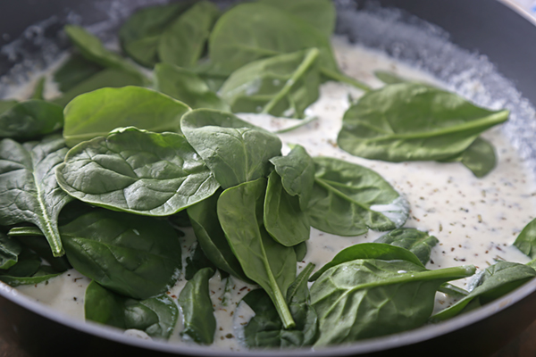 Fresh spinach leaves wilting in the cream sauce with Italian seasoning