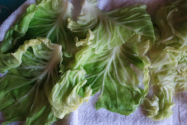 Pork and Cabbage Casserole