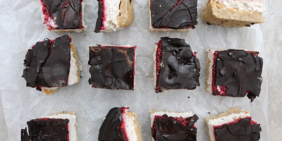 Coconut Raspberry Slice