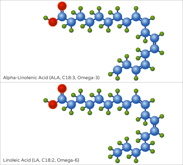 ALA and LA structure