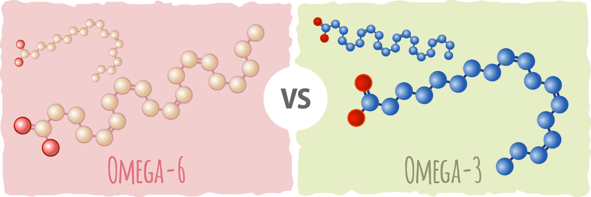 Do you need to have a good omega 3 vs omega 6 ratio?