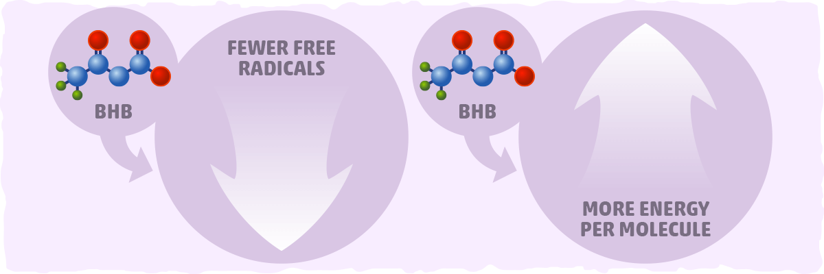 BHB from a Mechanistic Perspective