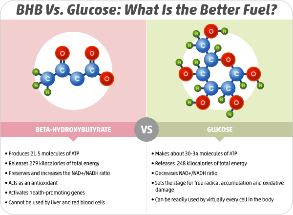 BHB Vs. Glucose: What Is the Better Fuel?