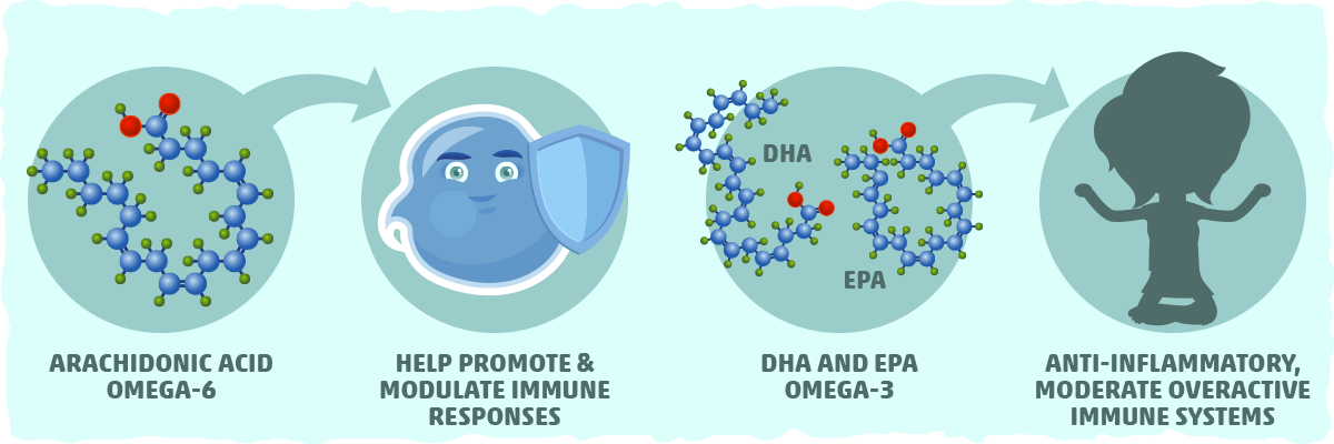 Omega-6s and Omega-3s Can Help Improve Immune System Function