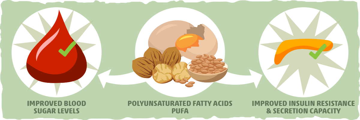 Polyunsaturated Fats Can Improve Blood Sugar Regulation
