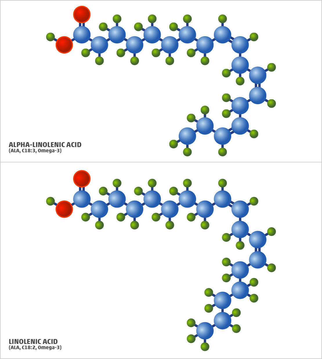 Polyunsaturated Fat Examples