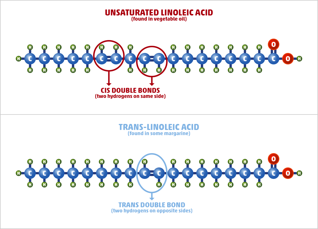 Artificial Trans-unsaturated Fat Examples
