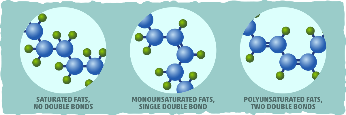 What are MUFAs? Deciphering Monounsaturated Fats from Polyunsaturated Fats with Biochemistry