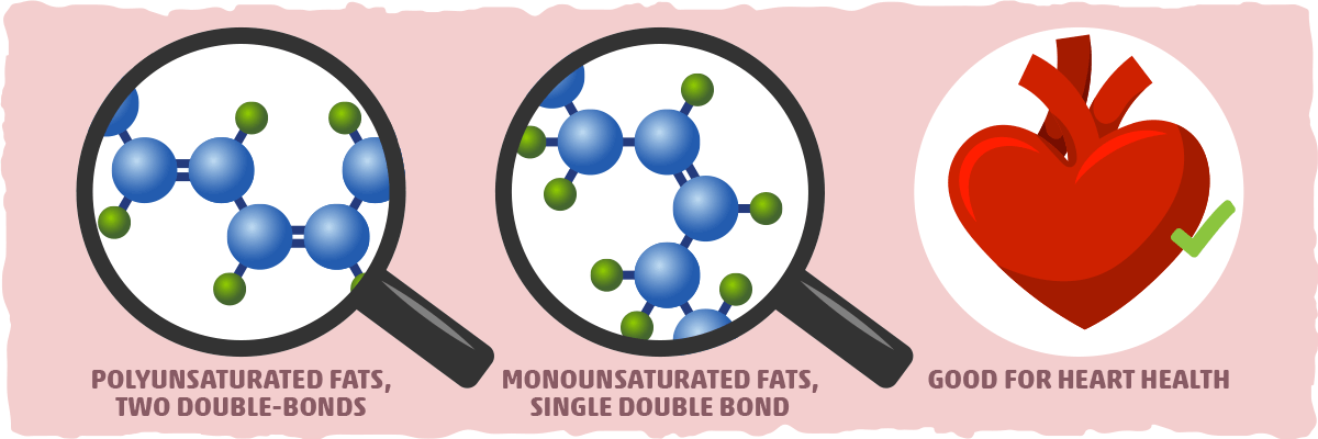 What is Polyunsaturated Fat? Through a Microscope