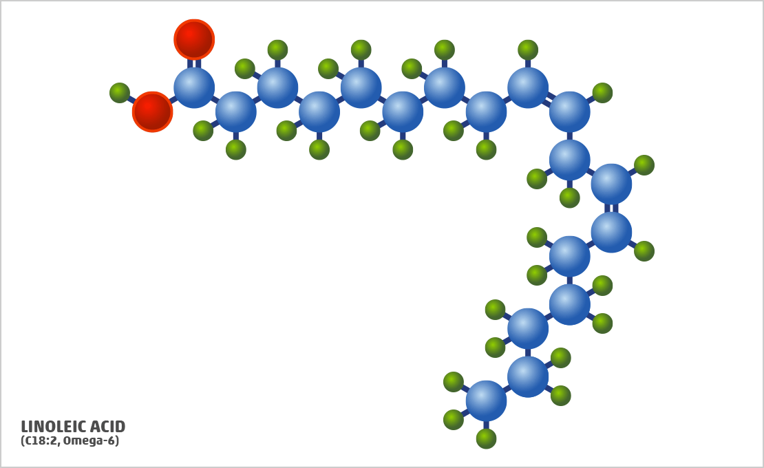 omega-6 fatty acid, linoleic acid