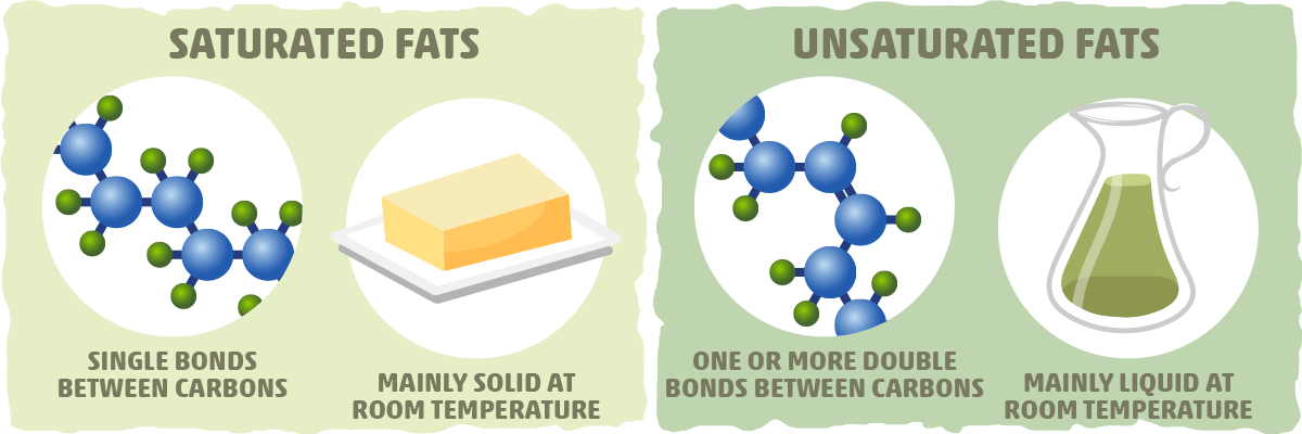 Types of fat