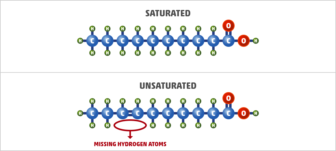 What is Saturated Fat? The Technical Definition