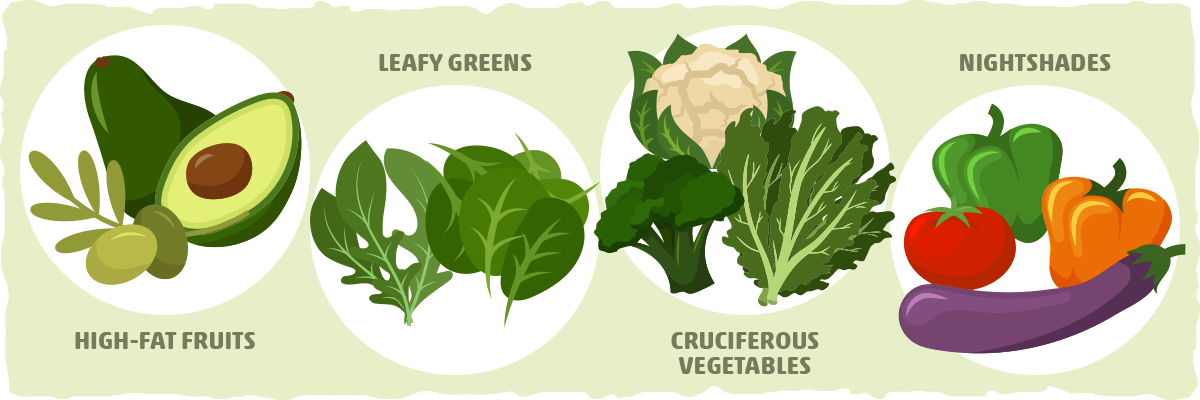 Keto Food Pyramid Level 3: Low Carb Veggies and High-fat Fruit