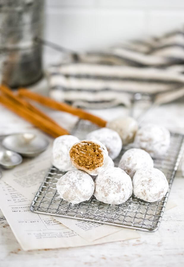 Low Carb Cinnamon Donut Bites Long